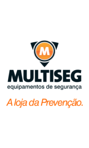 LOGO_Multiseg_2020
